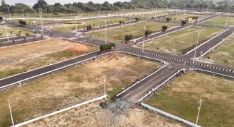 Dhanewa Commercial Plot