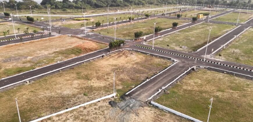 Dhanewa Commercial Plot